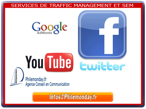 Traffic management : services de SEM et publicités en ligne